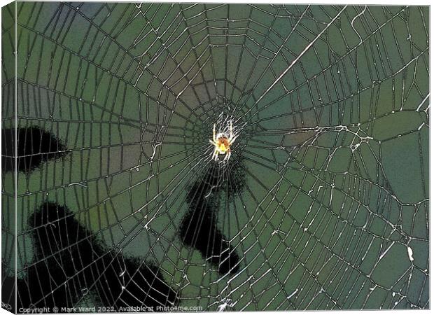 Waiting in the Web. Canvas Print by Mark Ward