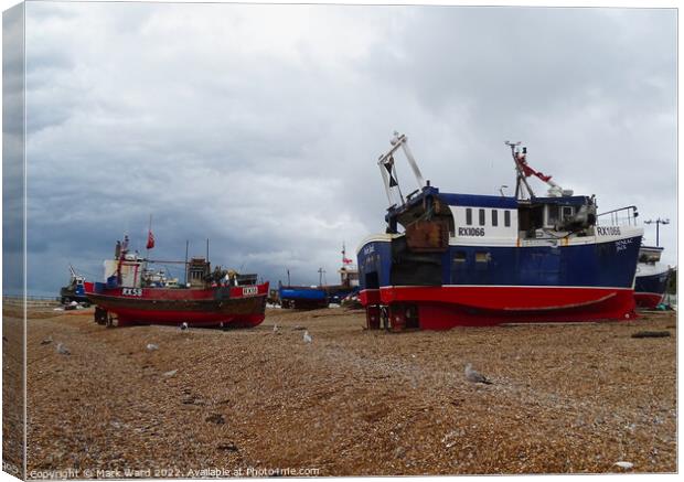 The beach based boats of Hastings. Canvas Print by Mark Ward