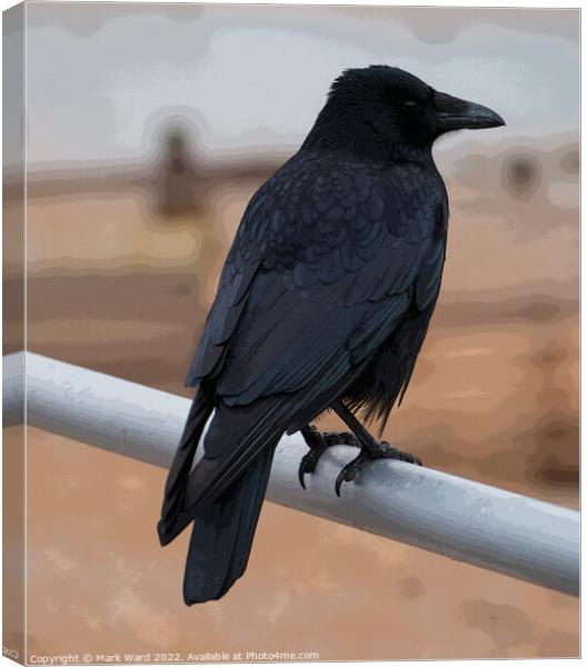 The Wise Crow. Canvas Print by Mark Ward