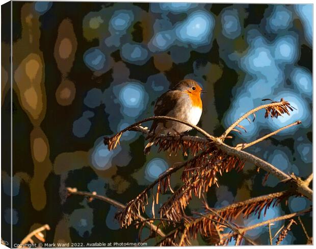 The Christmas Robin. Canvas Print by Mark Ward