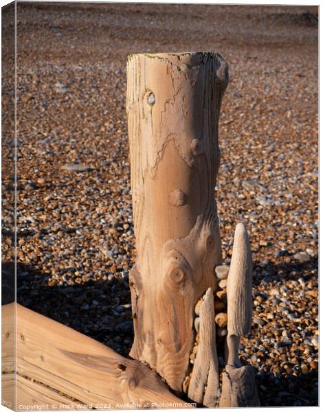 Sea Sculpture Canvas Print by Mark Ward