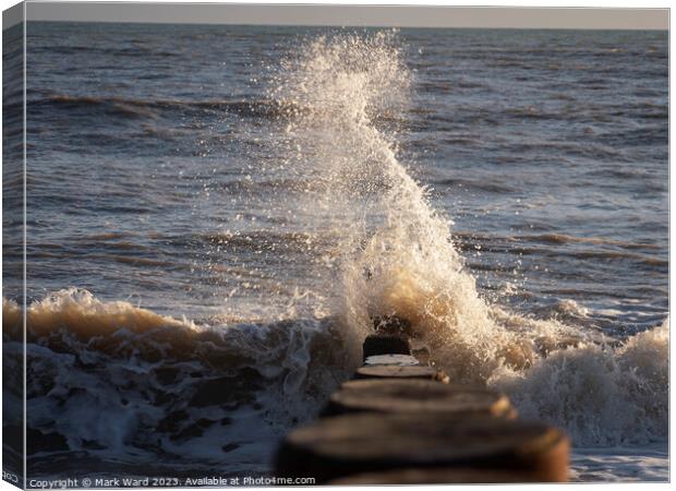 Groyne Strain Canvas Print by Mark Ward