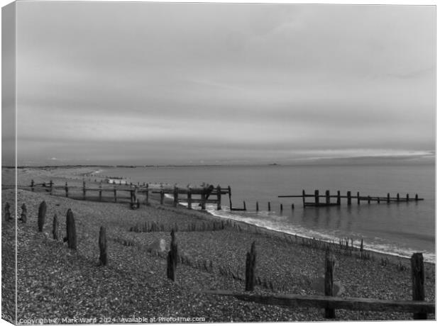 Timber and Tide Canvas Print by Mark Ward