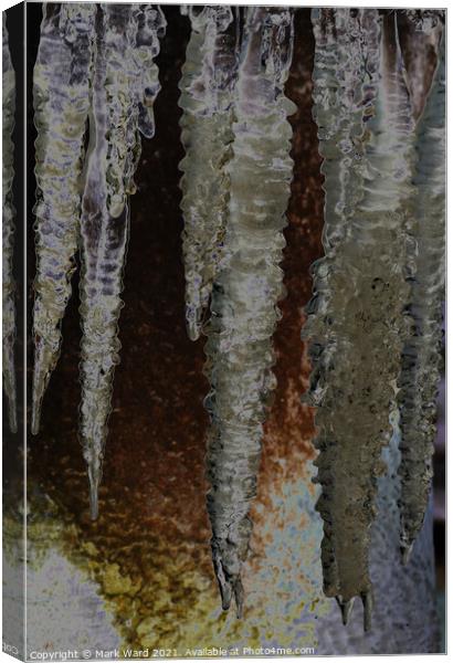 A Fountain of Icicles Canvas Print by Mark Ward