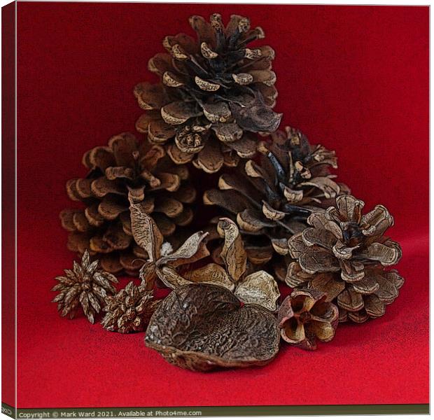 Pine Cones and Seed Cases. Canvas Print by Mark Ward