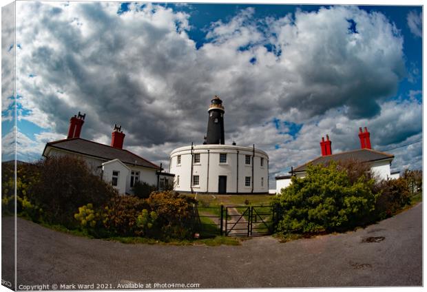 Dungeness Delight. Canvas Print by Mark Ward