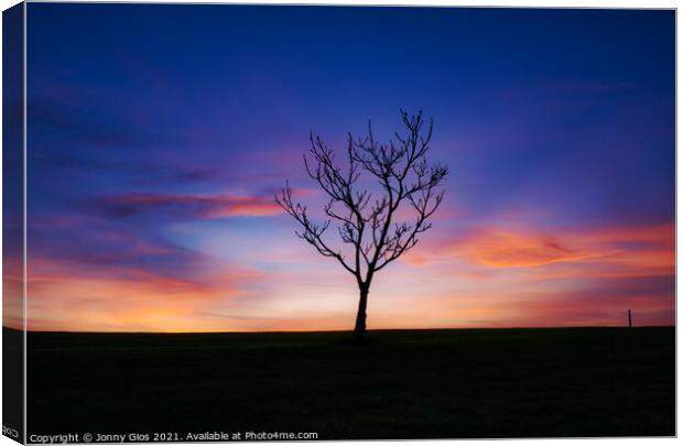 The Lone Tree Sunset  Canvas Print by Jonny Gios