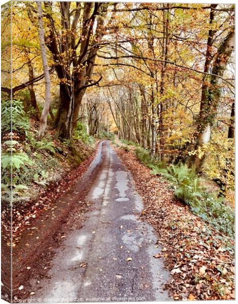 The path through autumn woods at Margam, South Wales. Canvas Print by Gaynor Ball