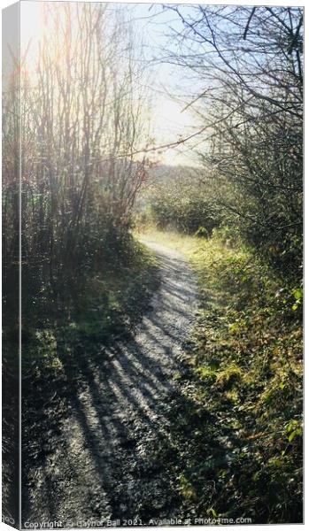 Woodland path at Parc Slip Nature Reserve Canvas Print by Gaynor Ball