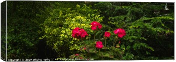 The Light, The Magic, The Garden. Canvas Print by 28sw photography