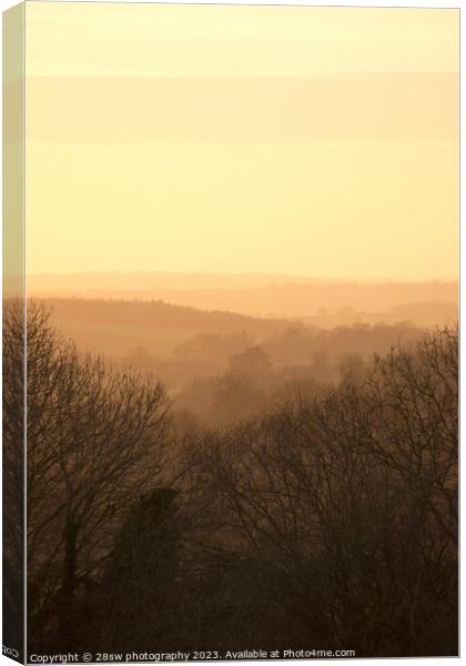 Bathing in a Nottinghamshire Gold Canvas Print by 28sw photography