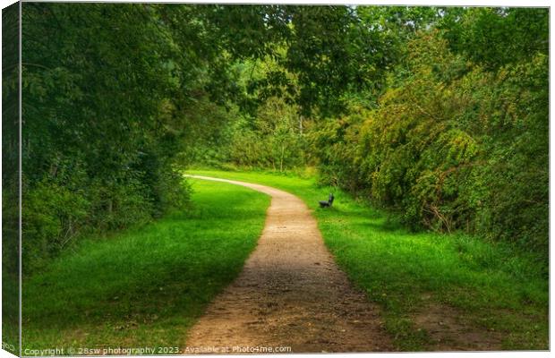 The Path and Changes. Canvas Print by 28sw photography