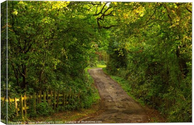 Paths to Mystery. Canvas Print by 28sw photography