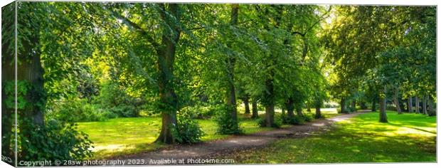 Afternoon Avenue - (Panorama.) Canvas Print by 28sw photography