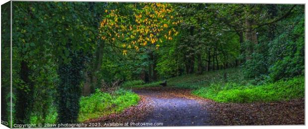 A slice of Autumn and Light - (Panorama.) Canvas Print by 28sw photography