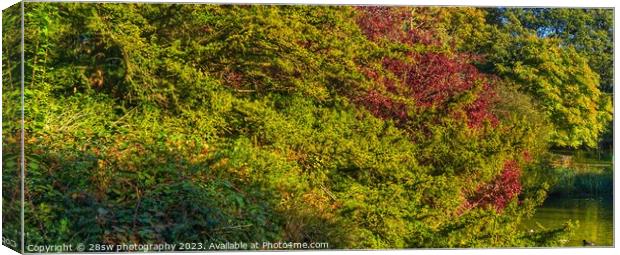 The Autumn Panorama. Canvas Print by 28sw photography