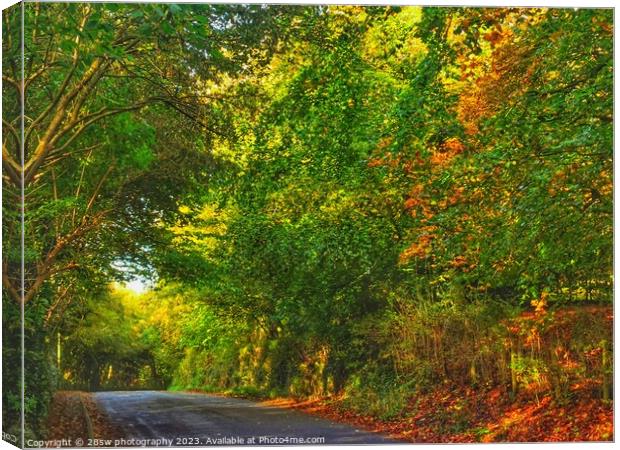Arts of The Autumn Lane. Canvas Print by 28sw photography