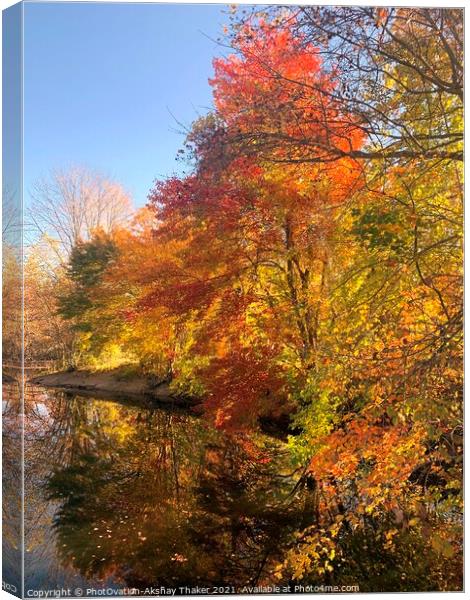 Poster perfect Colorful Autumn or fall landscape Canvas Print by PhotOvation-Akshay Thaker