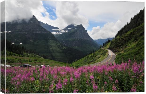 The purple flowers in glacier national park Canvas Print by PhotOvation-Akshay Thaker
