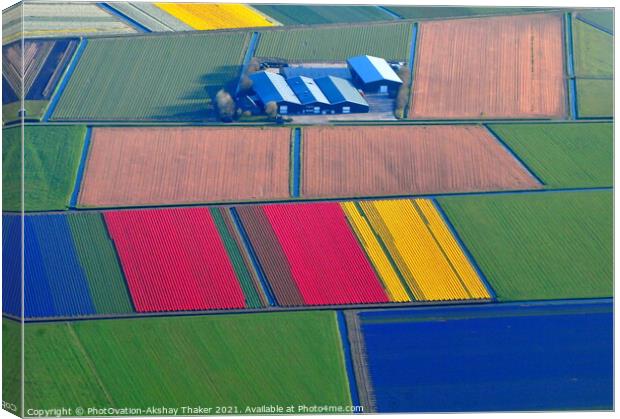 Aerial view of colorful Tulip fields in Holland.  Canvas Print by PhotOvation-Akshay Thaker
