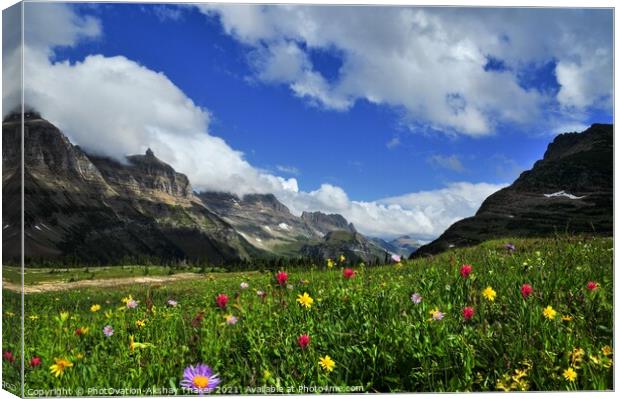A colorful wild flowers valley Logan Pass, Montana Canvas Print by PhotOvation-Akshay Thaker