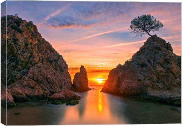 A calm sunrise between the rocks, Tossa de Mar Canvas Print by Vicen Photo