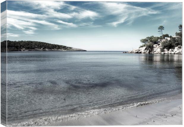 A heavenly beach in Ibiza Canvas Print by Vicen Photo