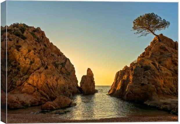 The small sea of Tossa in a calm sunrise without clouds Canvas Print by Vicen Photo