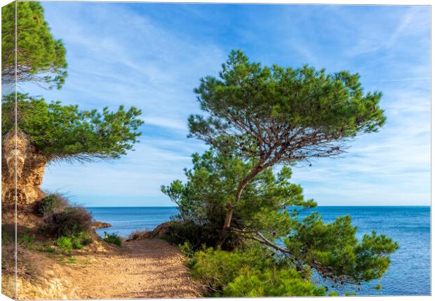 Photography with a path along the Mediterranean Sea in Atmella de Mar Canvas Print by Vicen Photo