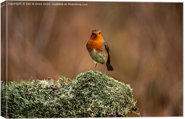 Christmas Robin Canvas Print by Ken le Grice
