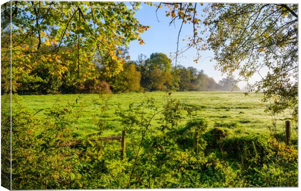 Autumn Morning Scene Canvas Print by Geoff Smith