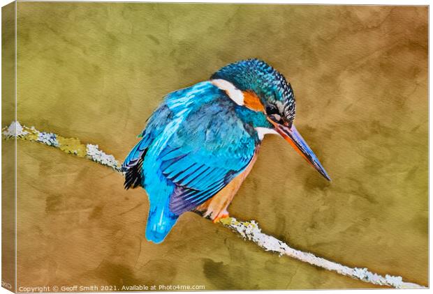 Kingfisher in Winter Painting Canvas Print by Geoff Smith