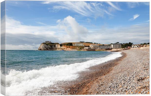 Breaking waves on Freshwater Bay beach Canvas Print by Allan Bell