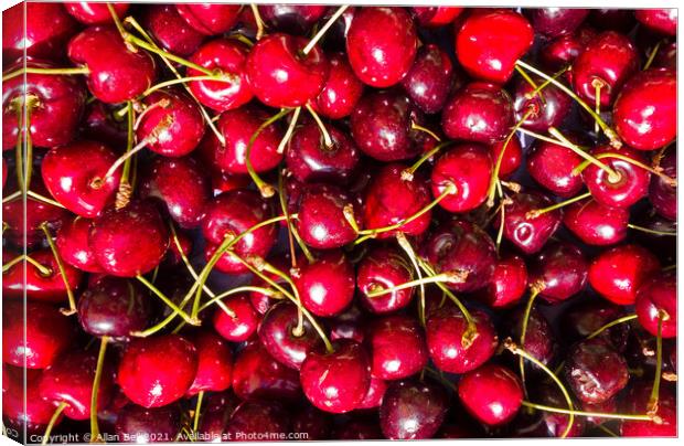 Red Cherries Canvas Print by Allan Bell