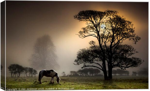 Bucolic Blush Canvas Print by Alan Jenkinson