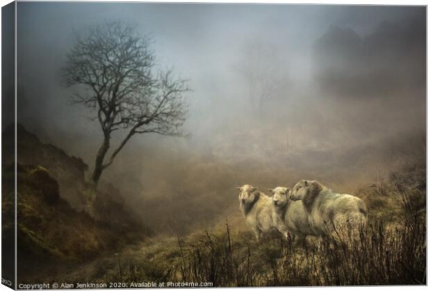Landscape in the Mist Canvas Print by Alan Jenkinson