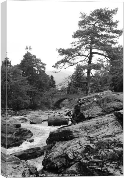 Falls of Dochart, Killin, Scotland mono Canvas Print by Imladris 