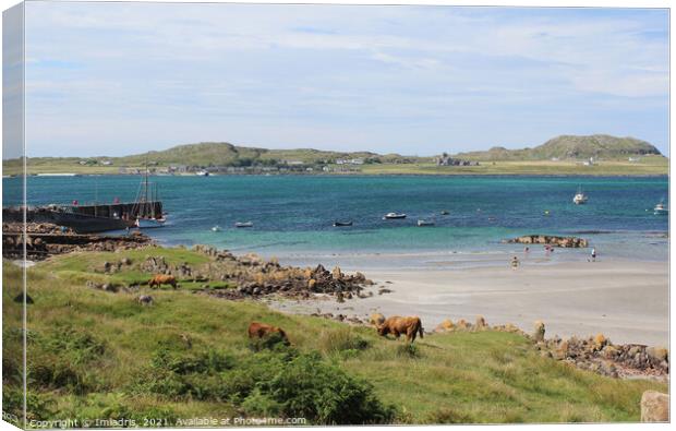 Fionnphort to Iona View, Mull, Scotland Canvas Print by Imladris 
