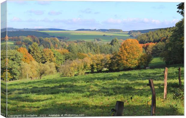Belgian Ardennes Autumn Landscape Canvas Print by Imladris 