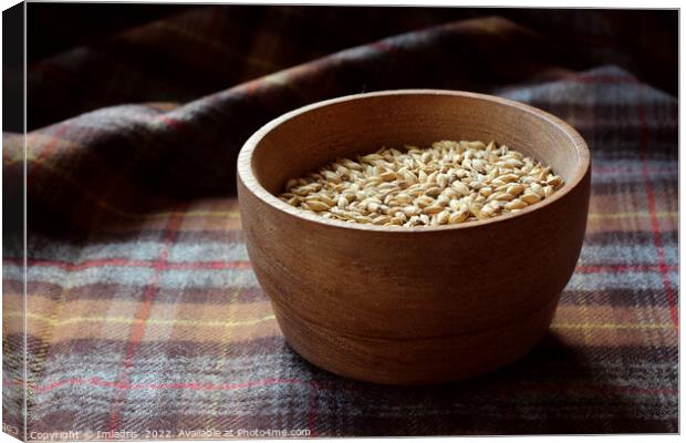 Malted Barley Grains in a Wooden Bowl Canvas Print by Imladris 