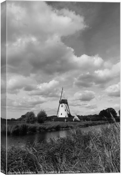 Schelle Windmill Mono, Damme, Belgium Canvas Print by Imladris 
