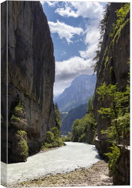 Beautiful Aare Gorge, Switzerland Canvas Print by Imladris 