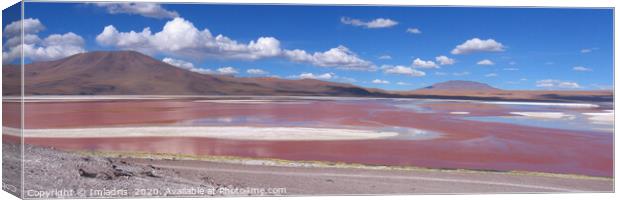 Colorful Red Lake, Laguna Colorada, Bolivia Canvas Print by Imladris 