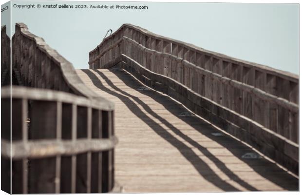 View on wooden elevated boardwalk for pedestrians. Canvas Print by Kristof Bellens