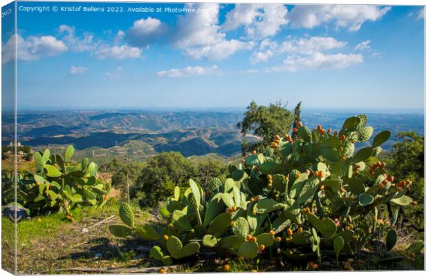 View from Picota near Monchique in Algarve, Portugal, into the valley of Serra de Monchique. Canvas Print by Kristof Bellens