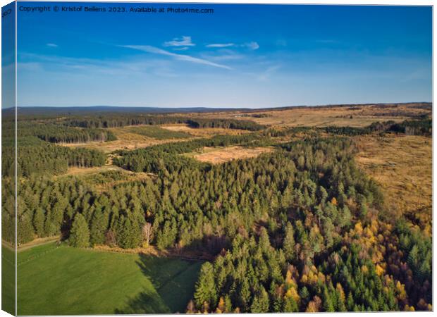 Aerial drone point of view of High Fens nature reserve in Ardennes of Wallonia, Belgium Canvas Print by Kristof Bellens