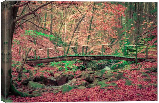 Foot bridge over a creek in the forest during a hike in autumn. Canvas Print by Kristof Bellens