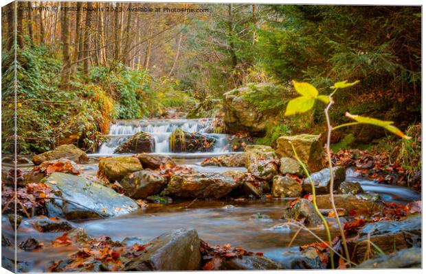 Autumn forest and river scene with waterfall. Long exposure. Seasonal vibes and warm atmosphere. Canvas Print by Kristof Bellens