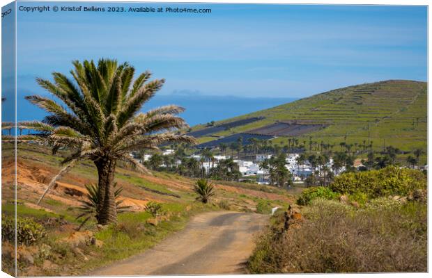 View on Haria on Lanzarote and the valley of the thousand palms. Canvas Print by Kristof Bellens