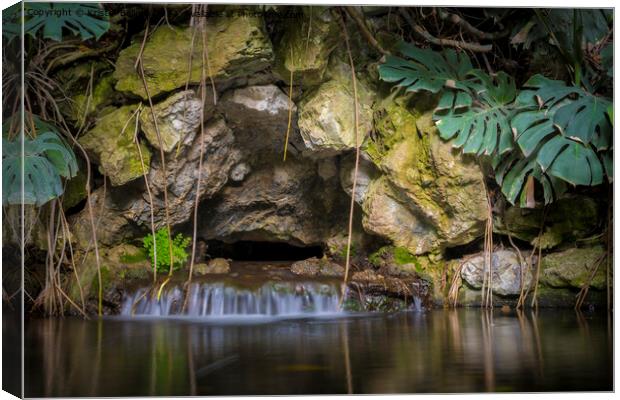 tropical garden pond with waterfall and rock wall Canvas Print by Kristof Bellens